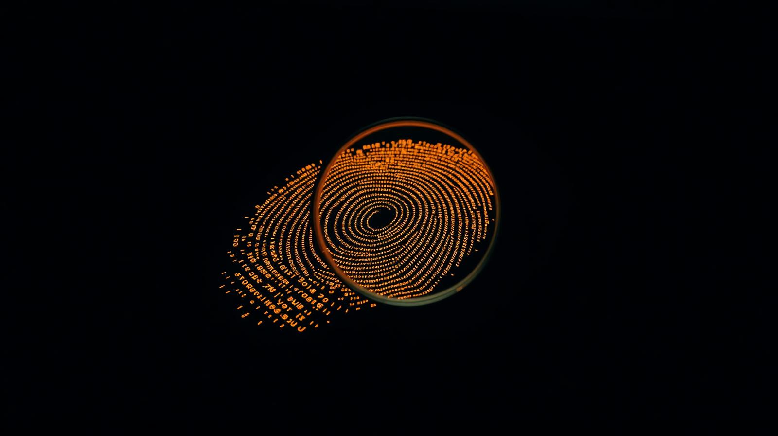 A magnifying glass over a glowing golden fingerprint of data — the metaphor for auditing what AI knows about you.